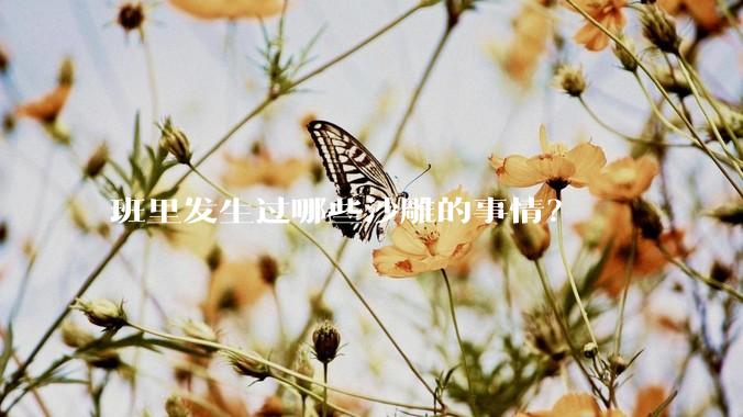 班里发生过哪些沙雕的事情？